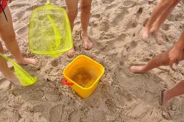Dzieci łowią meduzy na plaży © Marta