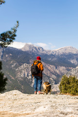 Fototapeta premium NATURE PHOTOGRAPHER AND A LONELY DOG IN THE WOODS