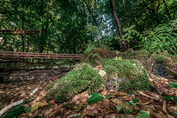 Dortmund vergessener Friedhof 