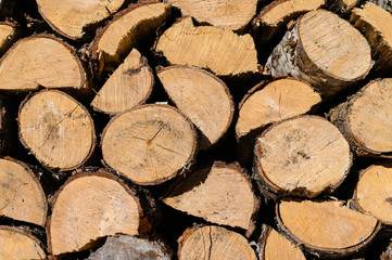 Log firewood stacked on top of each other.