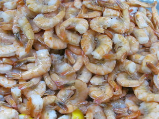 Shrimps