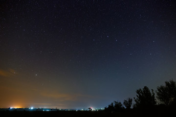 Fototapeta premium Stars in the sky at night. Outer space above the forest. Photographed with a long exposure.