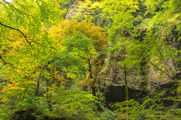 バックグラウンド・山奥の渓谷