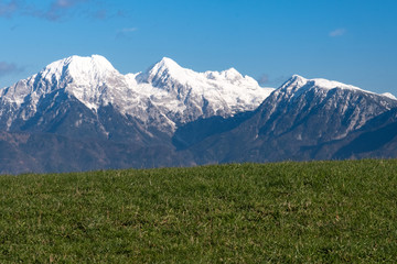 Beautiful view from green grassland towards white Kamnik alps in Slovenia