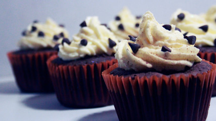 chocolate Cupcakes with chips