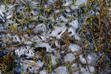 Frozen structure on Planina lake swamp