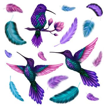 Set of colorful beautiful handdrawn hummingbird and feathers isolated on white 