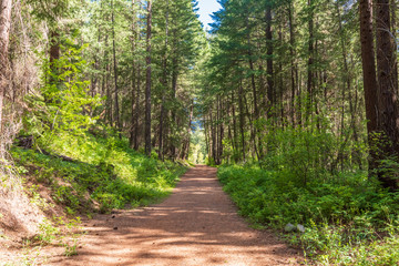 Fototapeta premium Rocky Mountains. Mountain Trail in Cascades National Park, Washington, USA.