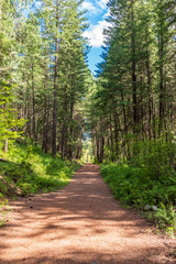 Fototapeta na wymiar Rocky Mountains. Mountain Trail in Cascades National Park, Washington, USA.