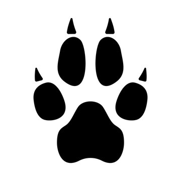 Vector illustration of a dog or wolf paw print with claws.