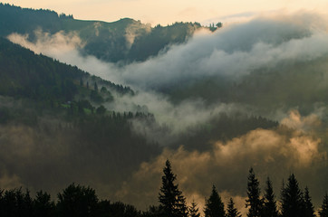 Fototapeta na wymiar Foggy morning landscape
