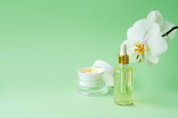 Fototapeta na wymiar natural cosmetics anti-aging, anti-wrinkle, for youth, skin elasticity on green background. cream, mask in jar, serum, fluid, oil in bottle. face and body care. banner, template, copy space