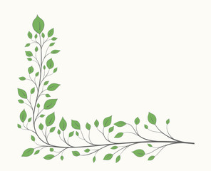 A branch with green leaves in the shape of a corner isolated on a light background