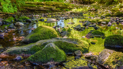 Beautiful Mountain River or Creek at West Vancouver, Canada.