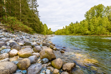 Beautiful Mountain River at the Capilano Park. North Vancouver, British Columbia, Canada. - obrazy, fototapety, plakaty