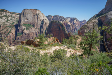 hiking west rim trail in zion national park, usa