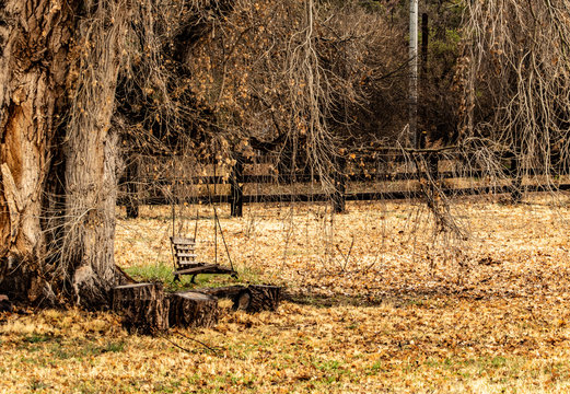 Romantic swing hanging from an old tree in a fenced field in winter