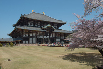 Fototapeta premium Japan