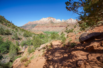 hiking the watchman trail in zion national park, usa