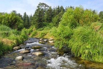 Riffle on the mountain spawning river. Pink salmon stream, Okhotsk sea coast. Khabarovsk region,...