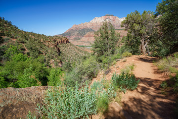 hiking the watchman trail in zion national park, usa