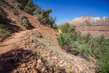 hiking the watchman trail in zion national park, usa
