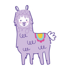 cute alpaca animal cartoon doodle color on white background