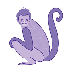 monkey animal cartoon doodle color on white background