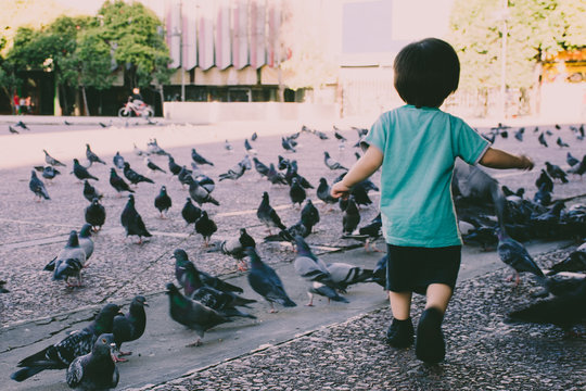 Ni&ntilde;o jujando en la plaza con aves