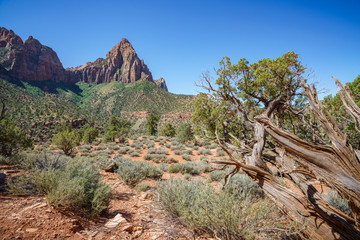 hiking the watchman trail in zion national park, usa