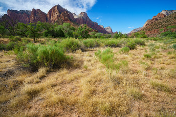 the watchman from parus trail in zion national park, usa