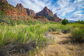 the watchman from parus trail in zion national park, usa