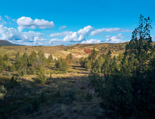 Obraz premium Pyramid shaped mounds in a semi desert environment with bushes grass and weeds in the John Day Fossil Beds Painted Hills Unit in Mitchell Oregon.