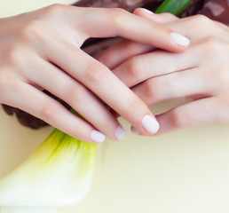 pretty perfect woman hands with white manicure and big flower on colorful yellow background, spa concept