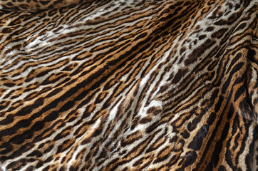 leopard fur coat background texture