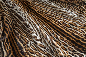 texture of a  leopard skin