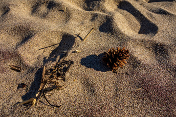 Provincetown beach during off-season - Provincetown, Massachusetts.