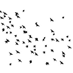 A flock of flying birds. Vector illustration