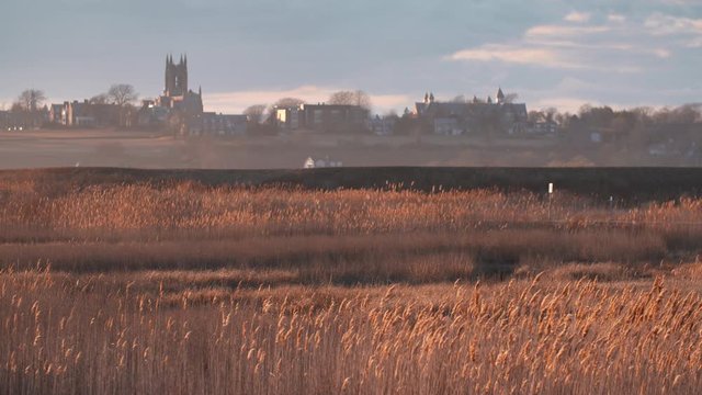 Wildlife refuge near historical Newport RI, a modern SUV crossing