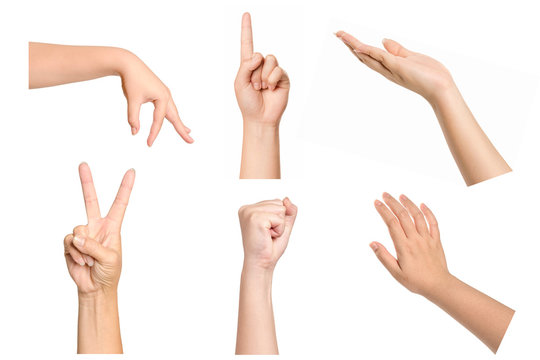 Set of woman hands gesturing  isolated on white background.