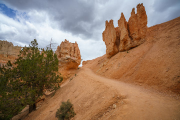 Naklejka premium hiking the peek-a-boo loop in bryce canyon in utah in the usa