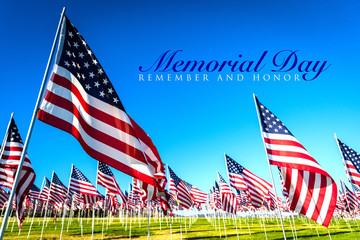 A large group of American flags. Veterans or Memorial day display - obrazy, fototapety, plakaty