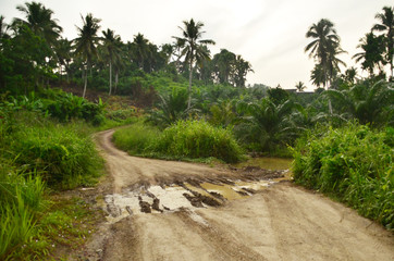 A muddy road that connected to the forest, Sabah.
