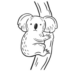Koala. Vector linear drawing by hand. Illustration of an animal.