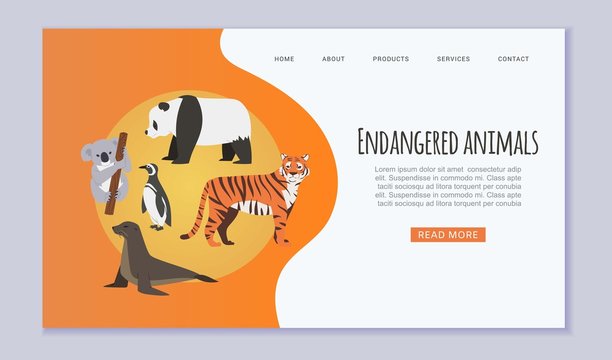 Endangered vanishing wildlife animals website vector template. Amur tiger, panda, penguin, sea seal and koala cartoon illustration save rare endangered animals website or zoo web page.