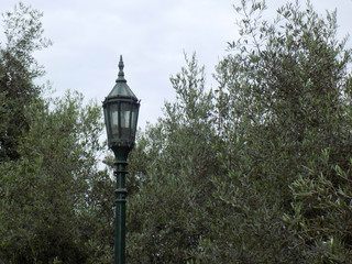 Fototapeta na wymiar Poste de luz entre árboles
