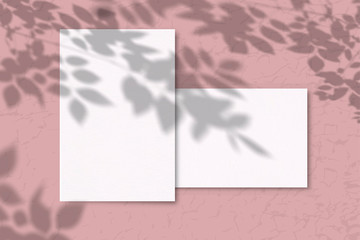 2 Sheets of white texture paper on a pink background. Mockup with overlay of plant shadows . Natural light casts the shadow of field plants and flowers from above