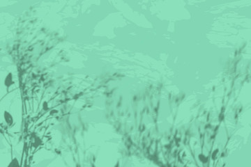 Reflection of wildflowers on a minty concrete wall with irregularities and roughness. Overlay effect for mockup presentations, photo design, etc. 