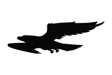 Flying eagle silhouette vector, animal