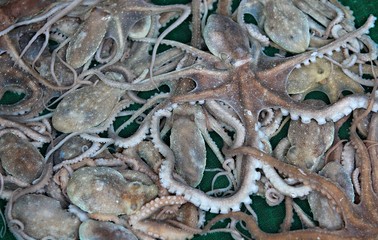 여행중에찍은모습입니다